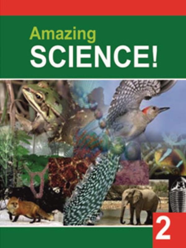 Amazing Science-Book 2