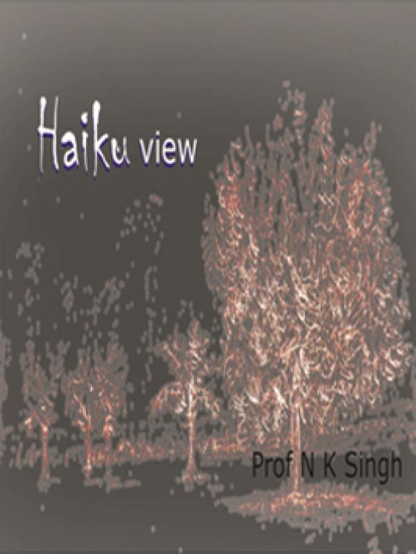 Haiku View