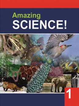 Amazing Science-Book 1