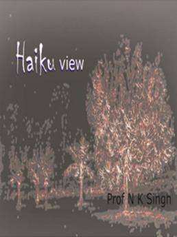 Haiku View